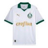 Original Fußballtrikot Palmeiras Auswärtstrikot 2024-25 Für Herren